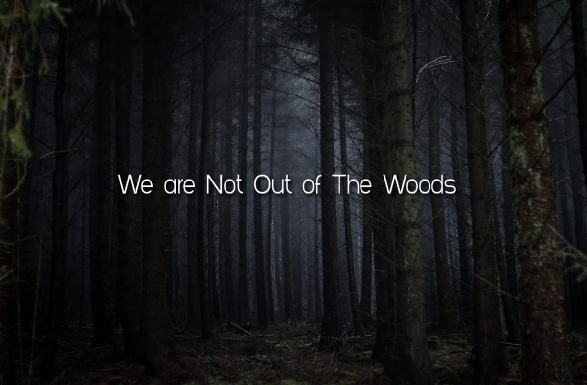 We are Not Out of The Woods