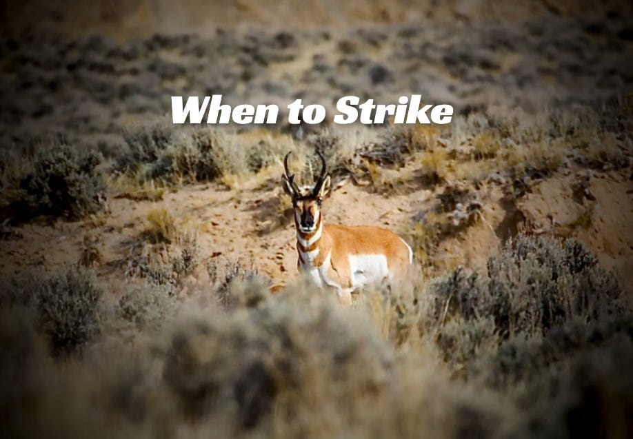 When to Strike