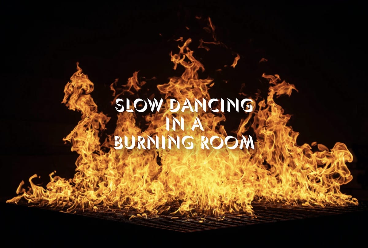 Slow Dancing in a Burning Room